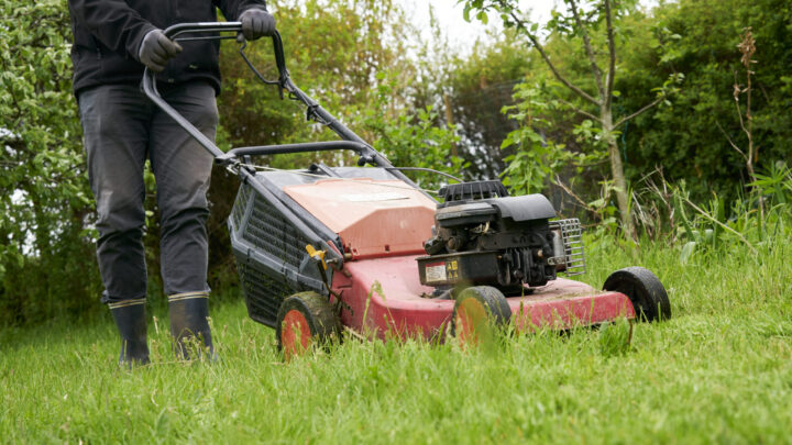 En person fører en græsslåmaskine i en have