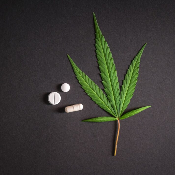 Cannabis plante og hvide tabeletter på mørkegrå baggrund