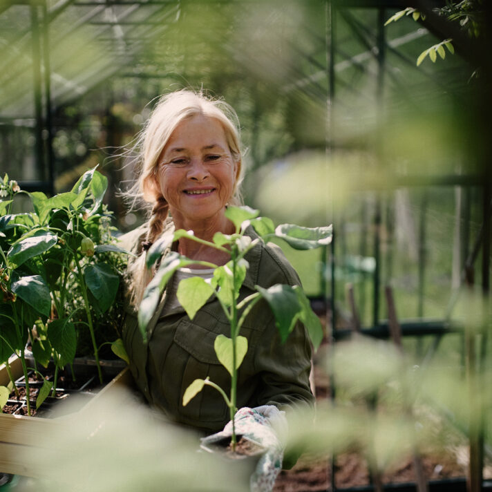 Kvinde arrangerer planter i sit drivhus