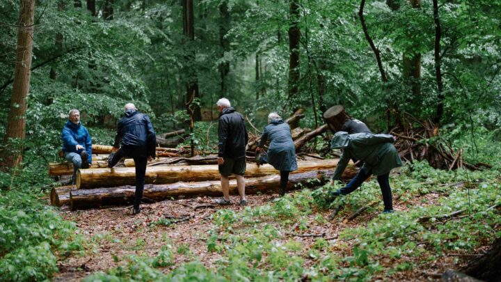 Forskning: Naturen dulmer gigtsmerter