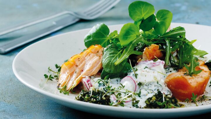 Varmrøget laks med pestosauce og salat af små kartofler, hytteost og radiser