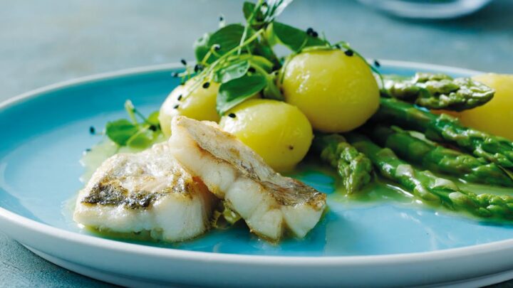 Skindstegt kulmule med dampede asparges, krydderurtesalat og hønseglace