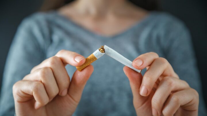 Person knækker en cigaret over på midten.